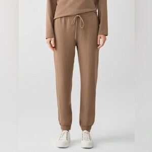 Eileen Fisher Brown Jogger Pants Size Small